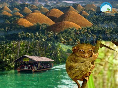 Cebu Bohol Countryside Tour: Is It the Real Deal? A Close Look