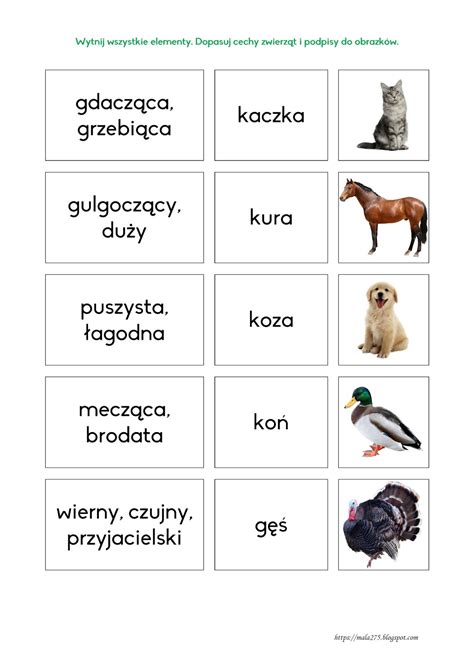 Cechy Języka W Komunikacji Zwierząt