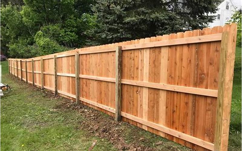 Cedar Wood Privacy Fence: A Comprehensive Guide With Pros And Cons