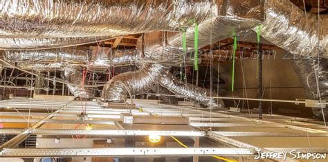 Ceiling Damage Inspection Nashville