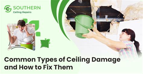 Ceiling Damage Types