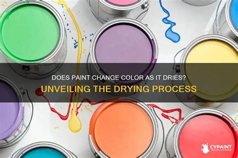 Ceiling Paint Changes Color Dries