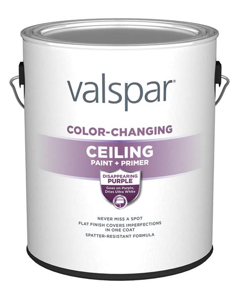 Ceiling Paint Color Changing