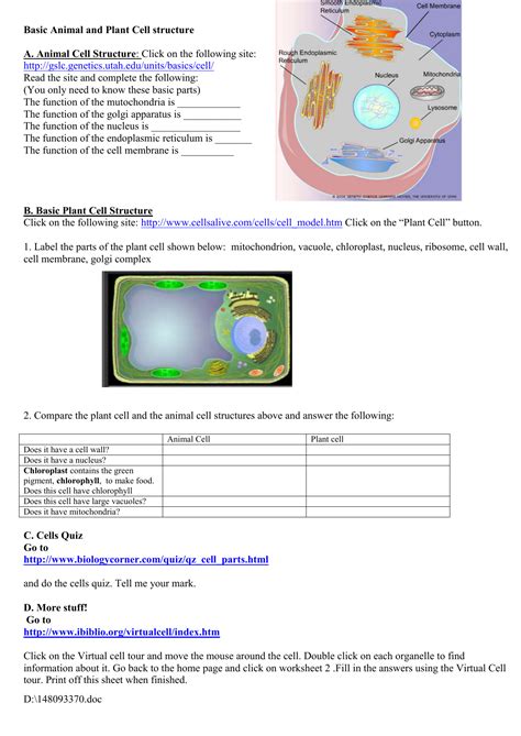 Cell Alive Worksheet Answer Key