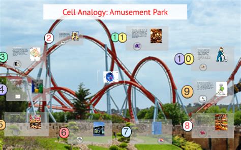 Experience thrill and excitement at Cell Amusement Park