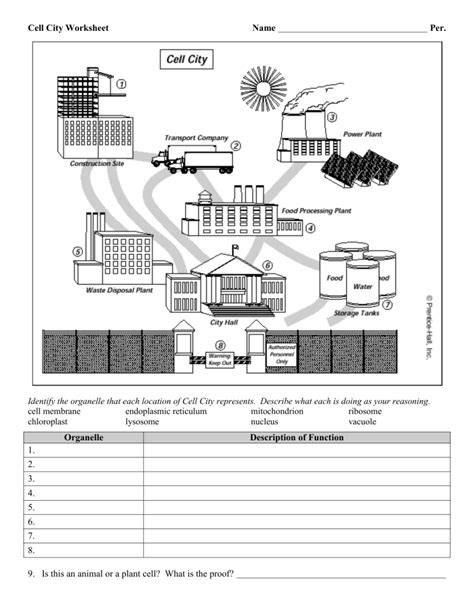 Cell City Worksheet Answers – Free Printable Practice Sheets Pdf ...