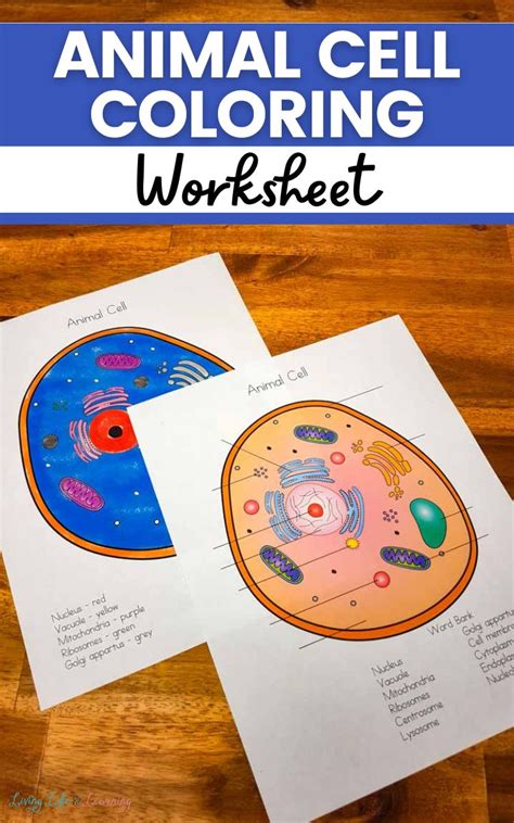 Cell Coloring Worksheet Elementary