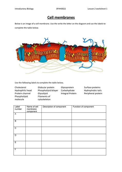 Cell Membrane worksheet