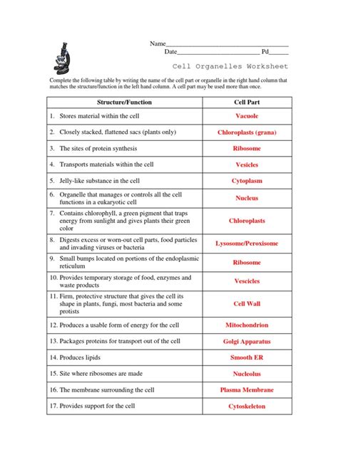 Cell Organelles And Their Functions Worksheet Answers