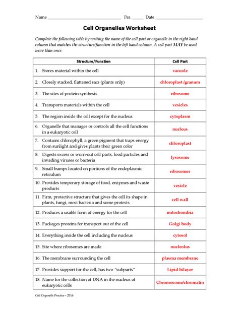 Cell Organelles Worksheet Answer Key - worksheet