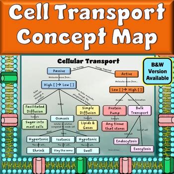 Topic 2 Concept Map Part 2 Name Membrane