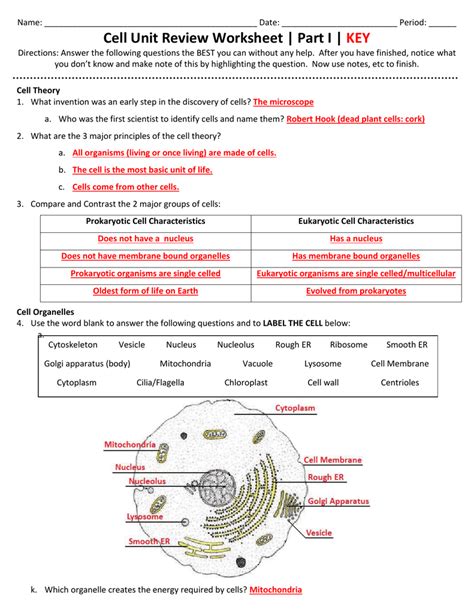 Cell Review Worksheet ANSWERS Cell Theory