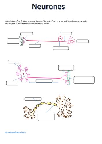 Cellular Communication Explored in AQA A2 Level Resources