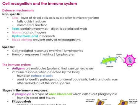 Cellular Communication