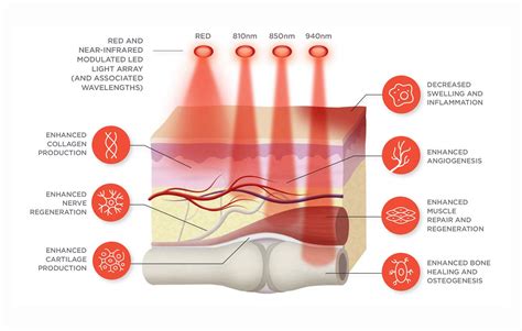 Cellular Repair Therapy Benefits