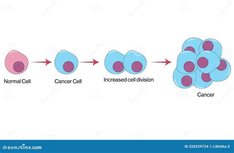 Cellular Transformation The Path to Cancer