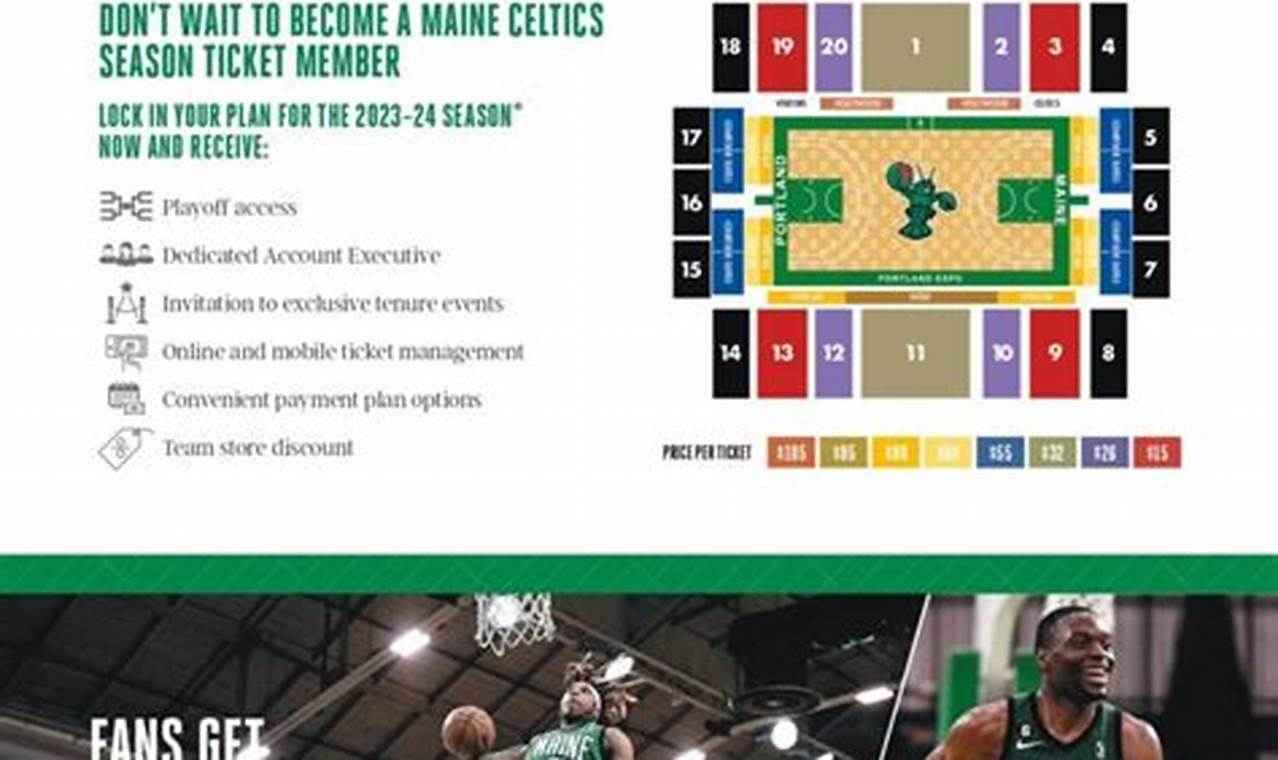 Celtics Season Tickets 2024 Price