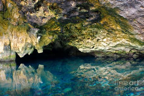 Cenote Reflections