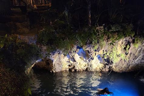 Cenote Swim Night