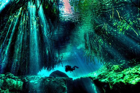 Cenote diving Playa Del Carmen