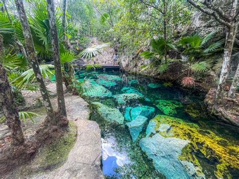 Cenote overview