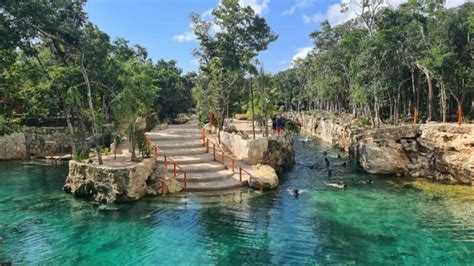 Cenotes Casa Tortuga Tour: An Honest Review