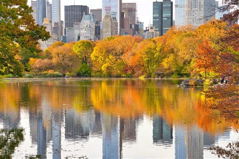 Central Park Fall Foliage