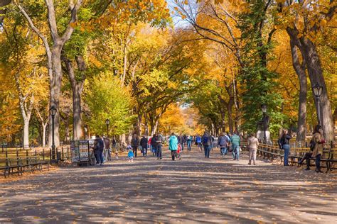 Central Park Promenade: Your Complete Guide