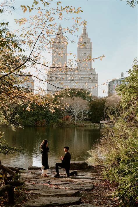 Enchanting Serenade amidst Nature's Splendor: Indulge in the Ultimate Central Park Proposal Package!