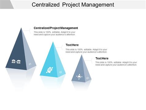 Centralized Project Management