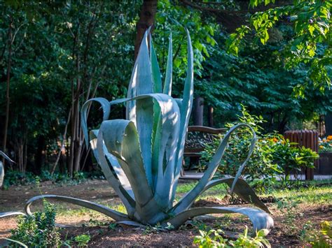 Seemorerocks Florida's nuclear power plants