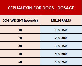Cephalexin 250mg For Dogs Dosage Chart