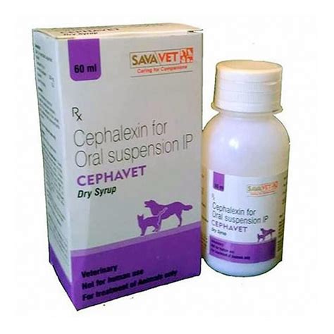 Cephalexin For Dogs