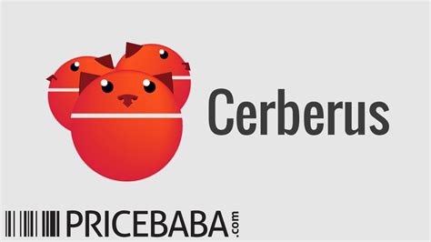 Cerberus Anti Theft