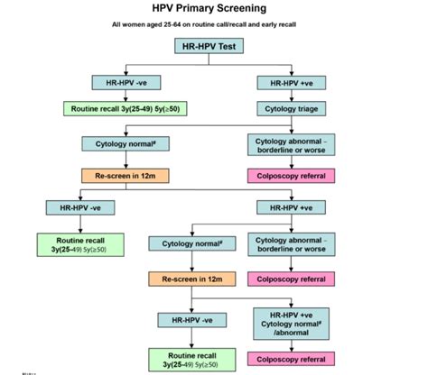 Cervical Screening and HPV