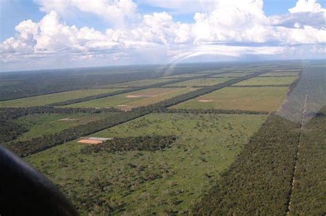 Chaco landscape Paraguay