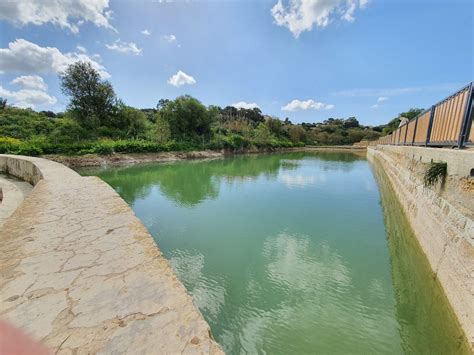 Chadwick Lakes & Victoria Lines: A Nature Tour Review