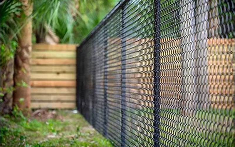 Chain Link Fence Black Privacy: Everything You Need To Know