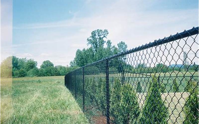 Chain Link Privacy Fence Price: What You Need To Know