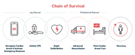 Unlocking the Vitality of Life: The Complete Chain of Survival Definition