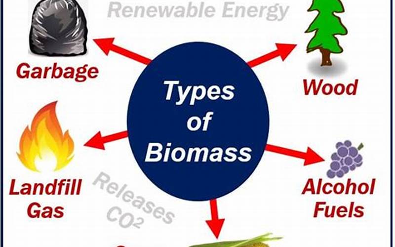 Challenges Associated With Biomass Utilization