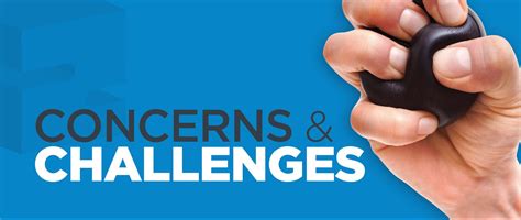 Challenges and Concerns