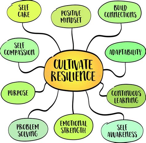 Challenges and Setbacks