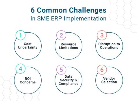 Challenges and Solutions for SME Software Implementation