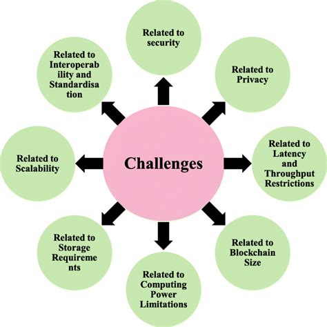 Challenges in Implementation: Standardization and Accessibility