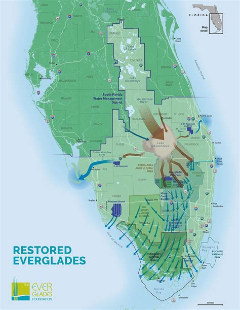 Image of Florida Everglades