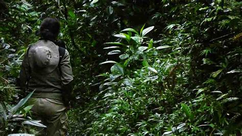 Chameleon Tour Home Visit