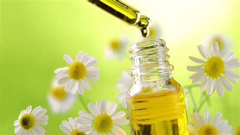 Unlock Radiant Skin with the Natural Elixir: Chamomile Extract for Skin