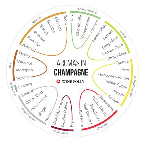 Champagne tasting notes