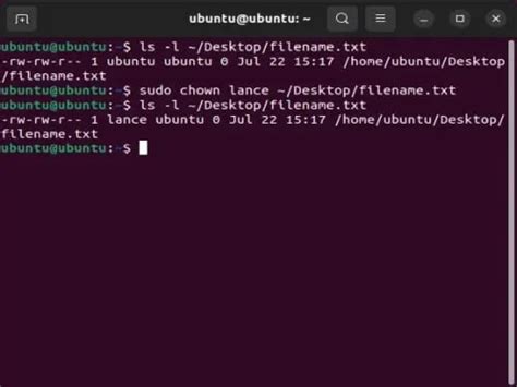 Change Directory Owner in Linux using Chown Command